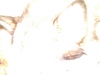 dc1035